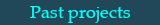 Past projects